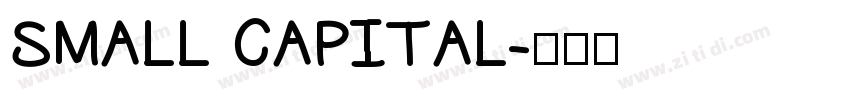 SMALL CAPITAL字体转换